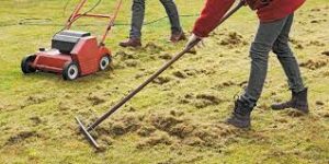 dethatching a lawn with manual rake and power rake